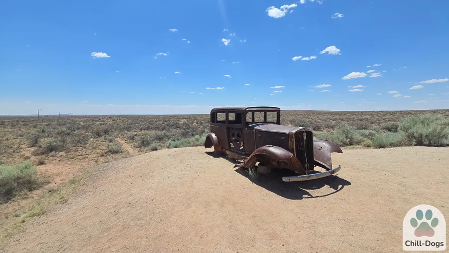 Vintage rusted car at Petrified Forest Arizona on a cross-country dog road trip