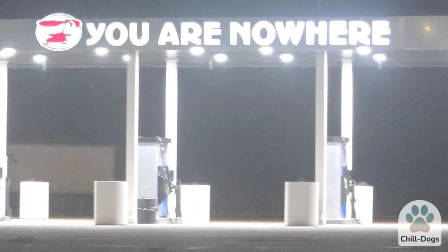 Road sign in the middle of nowhere on a cross-country dog road trip