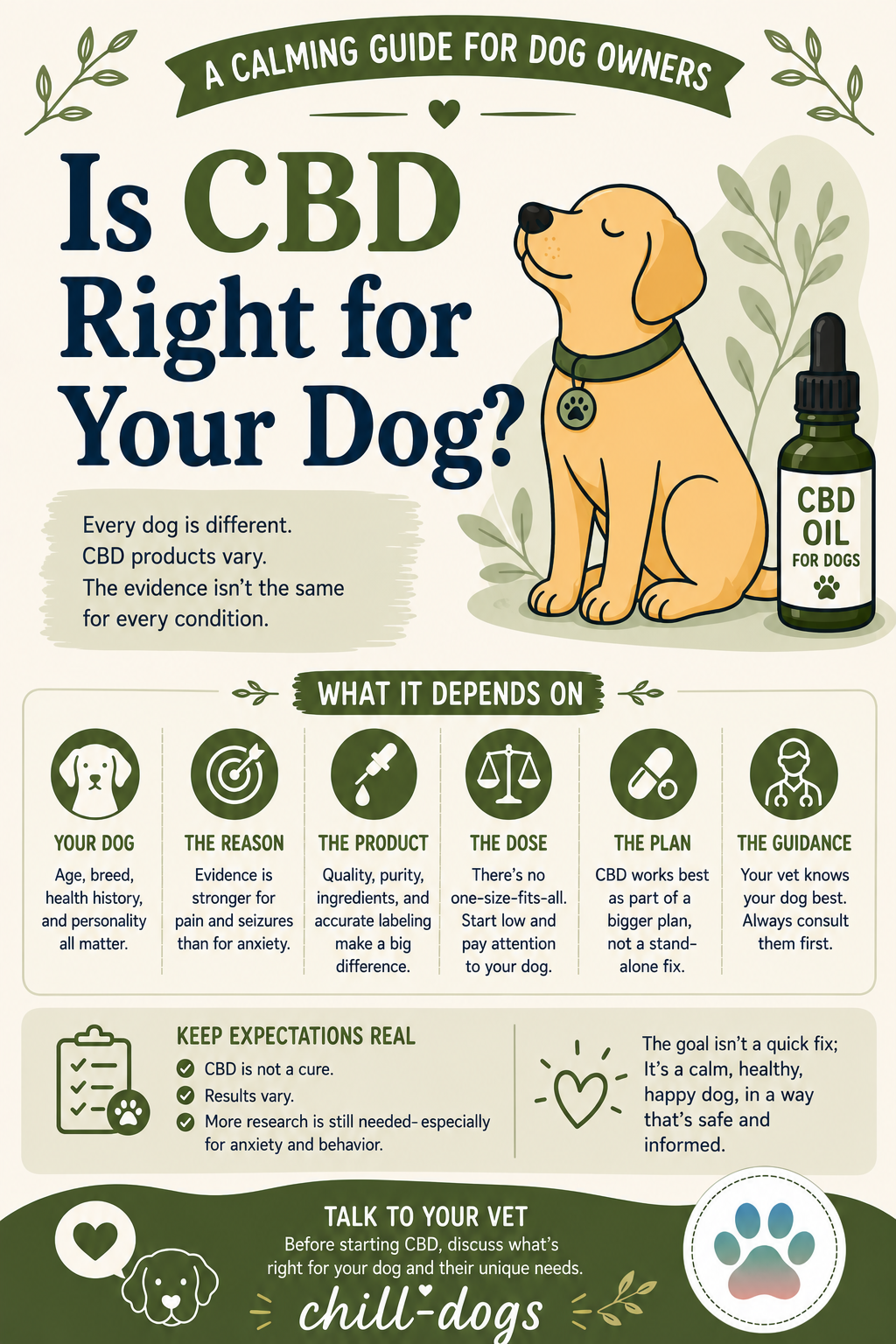 Pinterest pin titled Is CBD Right for Your Dog, with a dog beside CBD oil and factors including the dog, reason, product, dose, plan, and veterinary guidance.